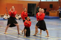 IMG_9521-Revolution-Flamenco_klein